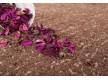 Shaggy carpet Velvet Lalee 500 nougat - high quality at the best price in Ukraine - image 5.